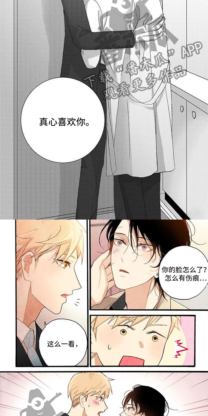 第48章：真心喜欢你3