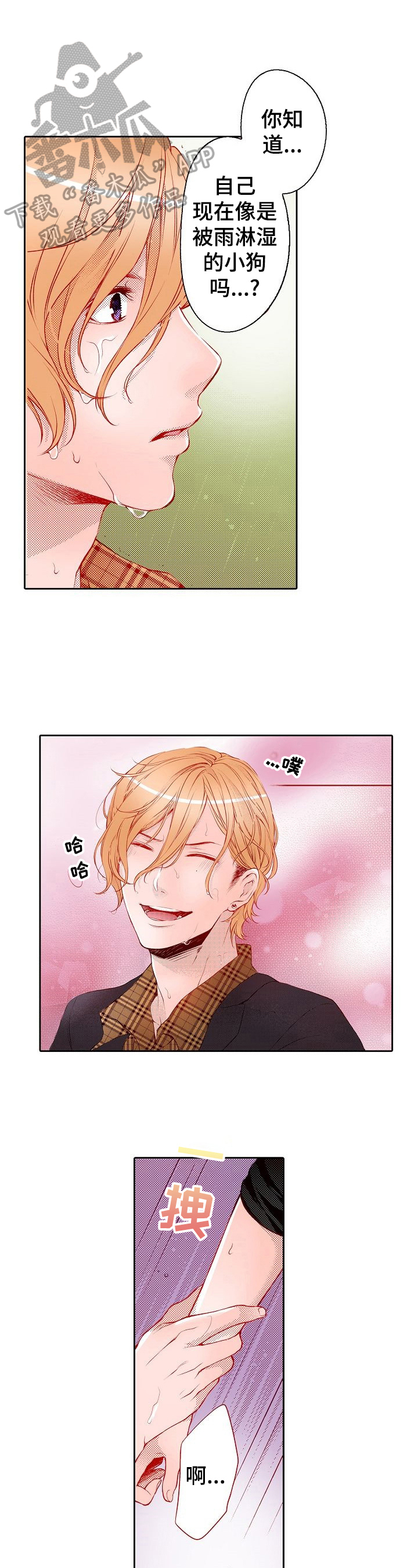 第33章：可以期待吗0