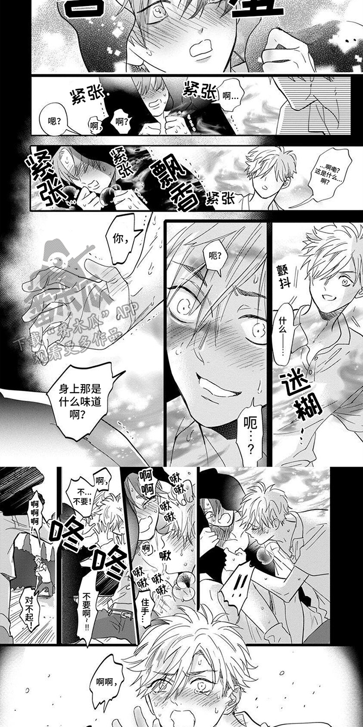 第9章：喜欢的人1