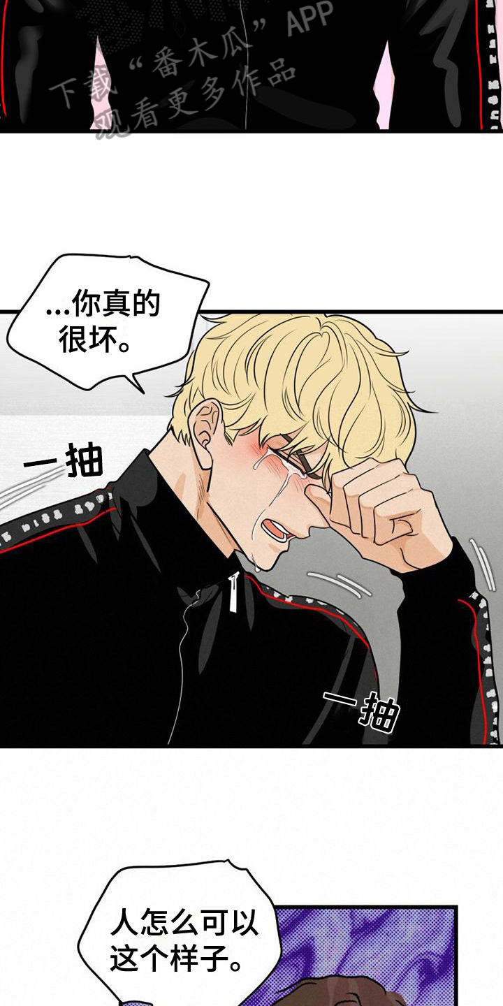 第17章：带回家2