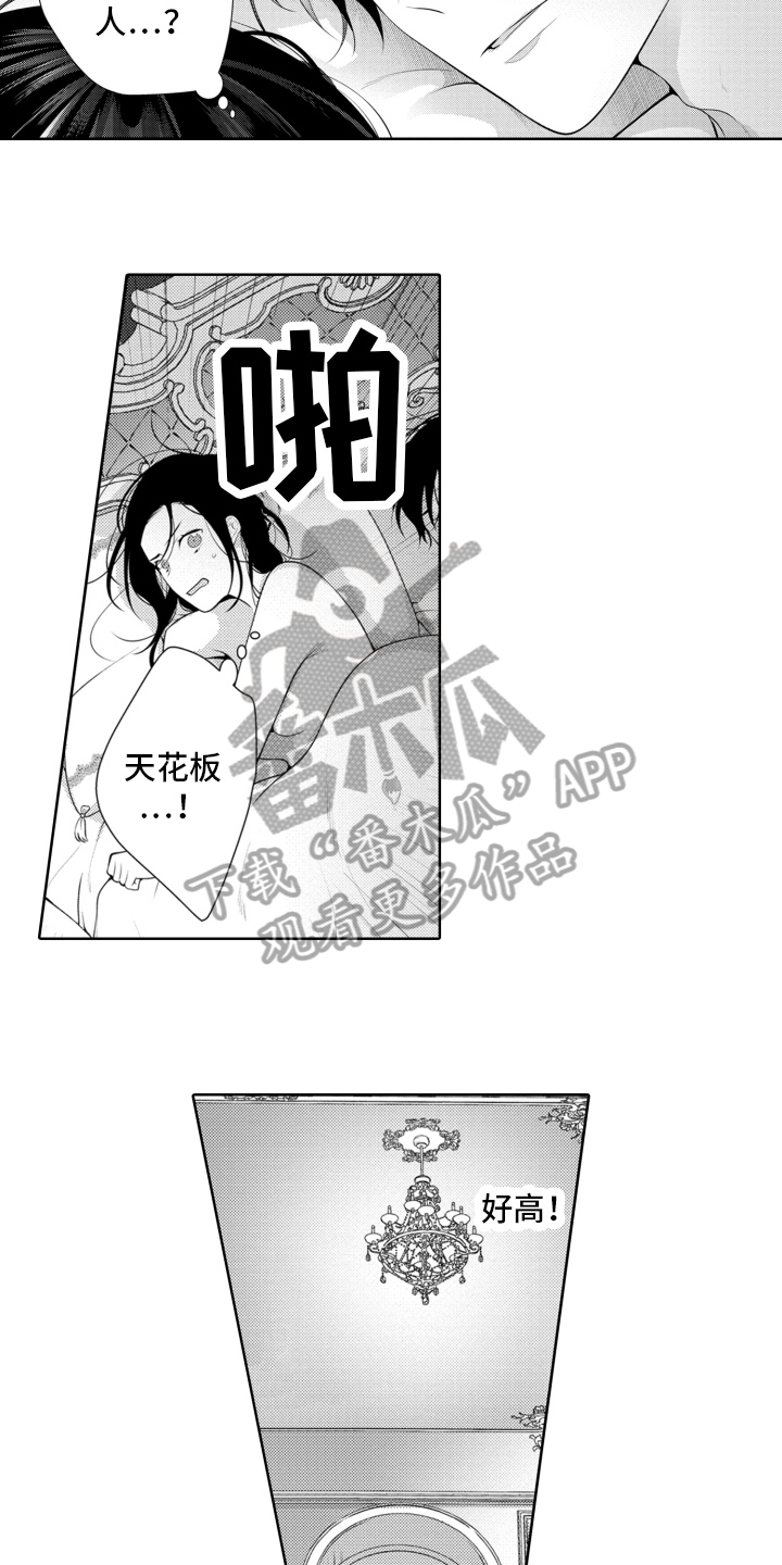 第17章：又回来了1