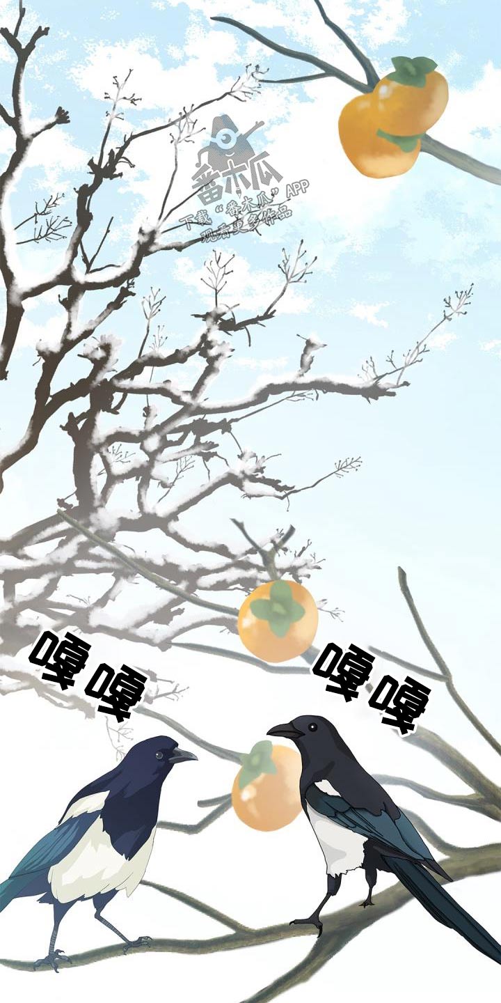 第70章：【第二季】说话的鸟4