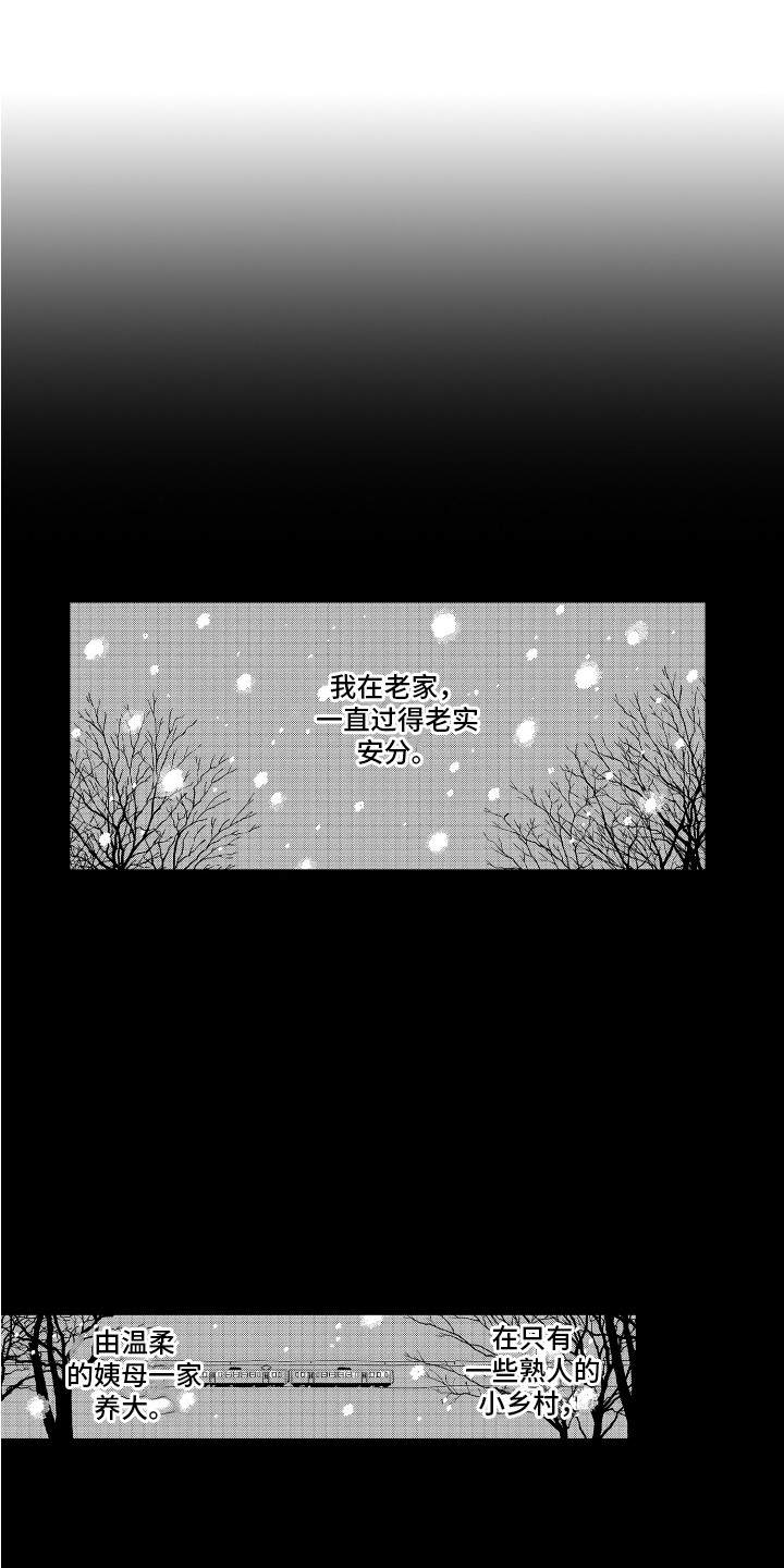 第13章：曾经的委托0