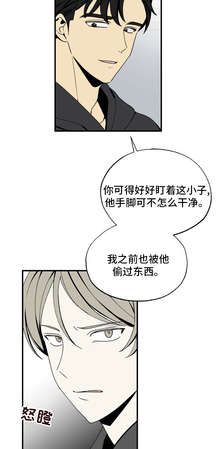 第73章：揍回去2