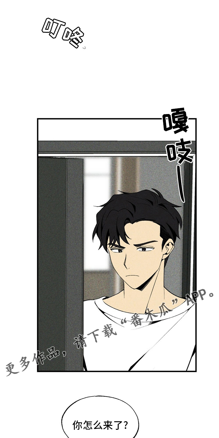 第65章：香雪兰0