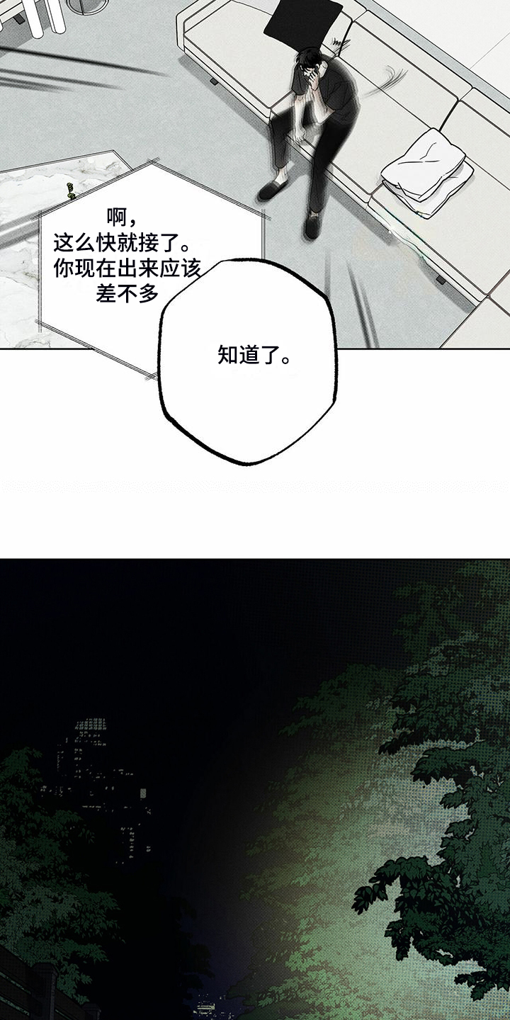 第44章：明显的答案1