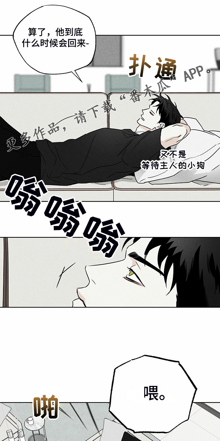 第44章：明显的答案0