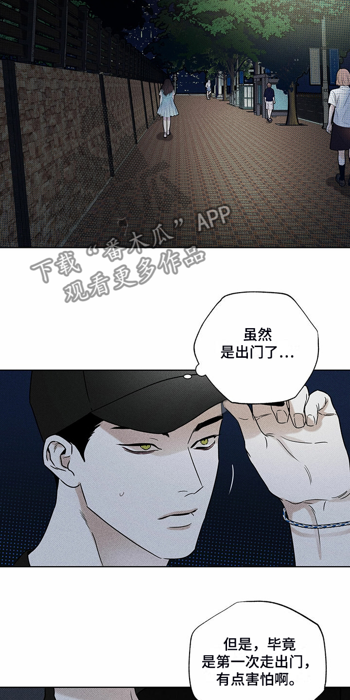 第44章：明显的答案2