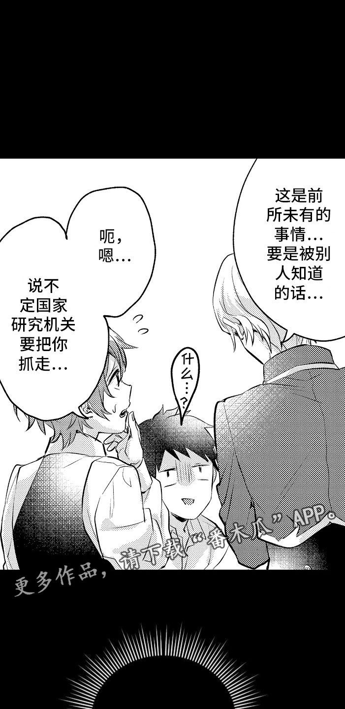 第5章：薛定谔的状态1