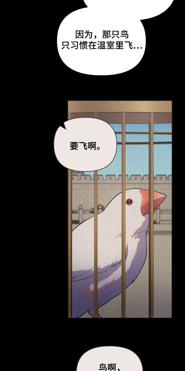 第83章：金盏草3