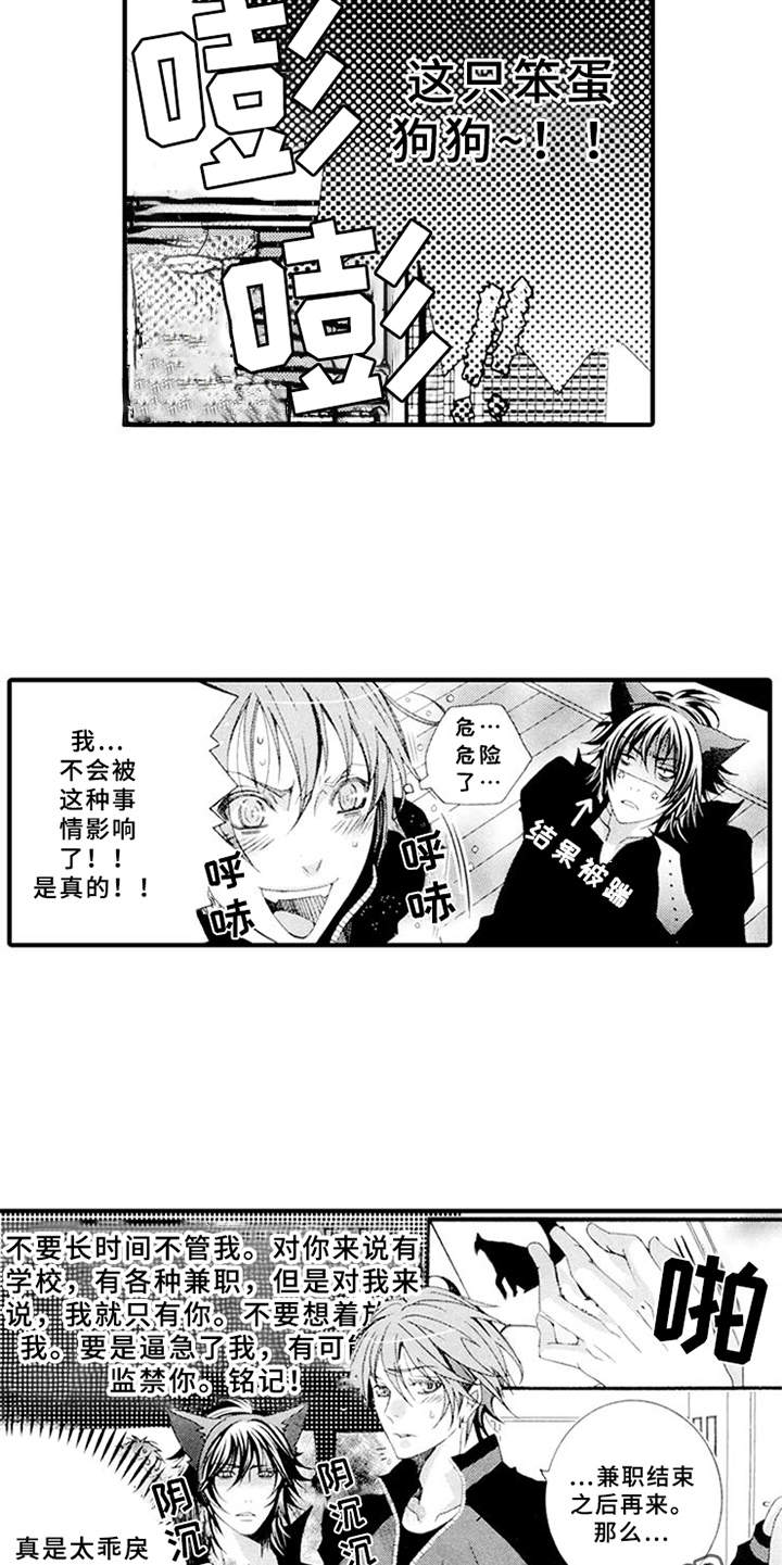 第4章：肆意妄为4