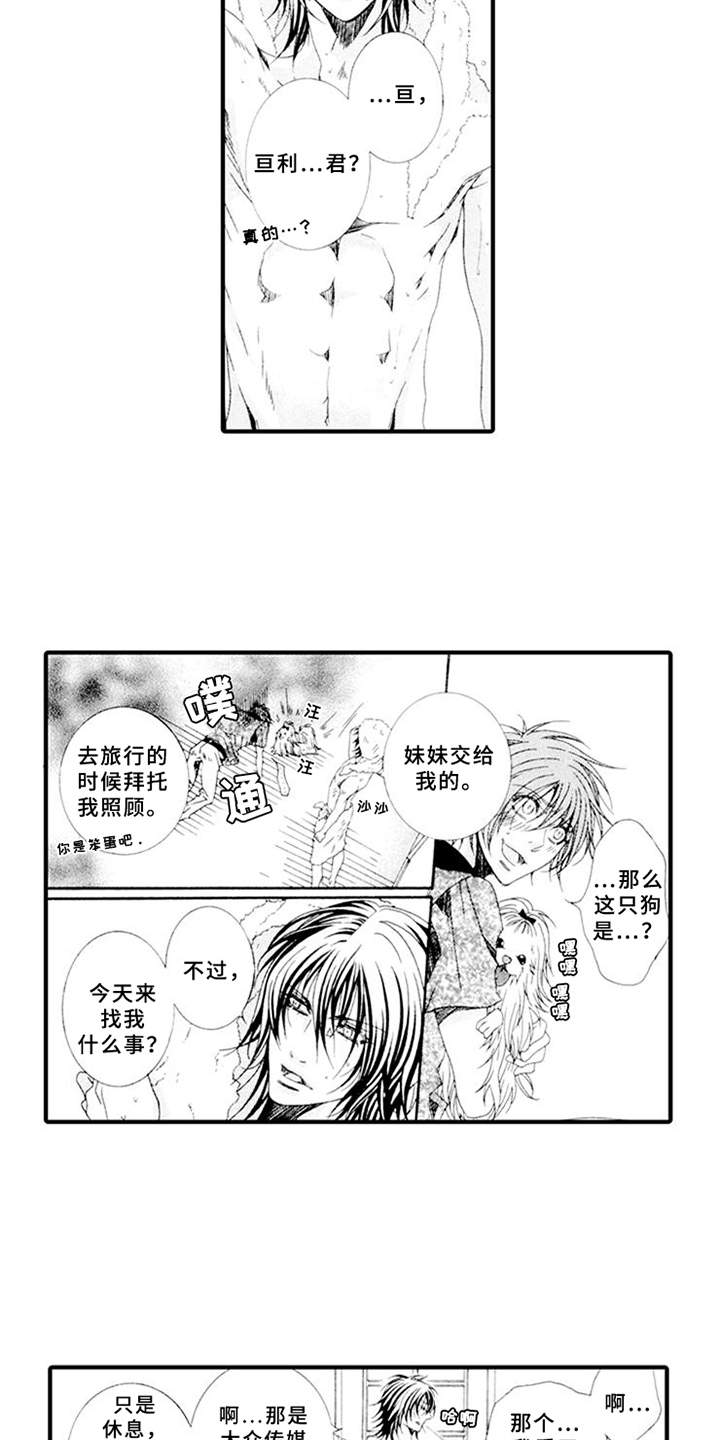 第3章：驯服的办法2