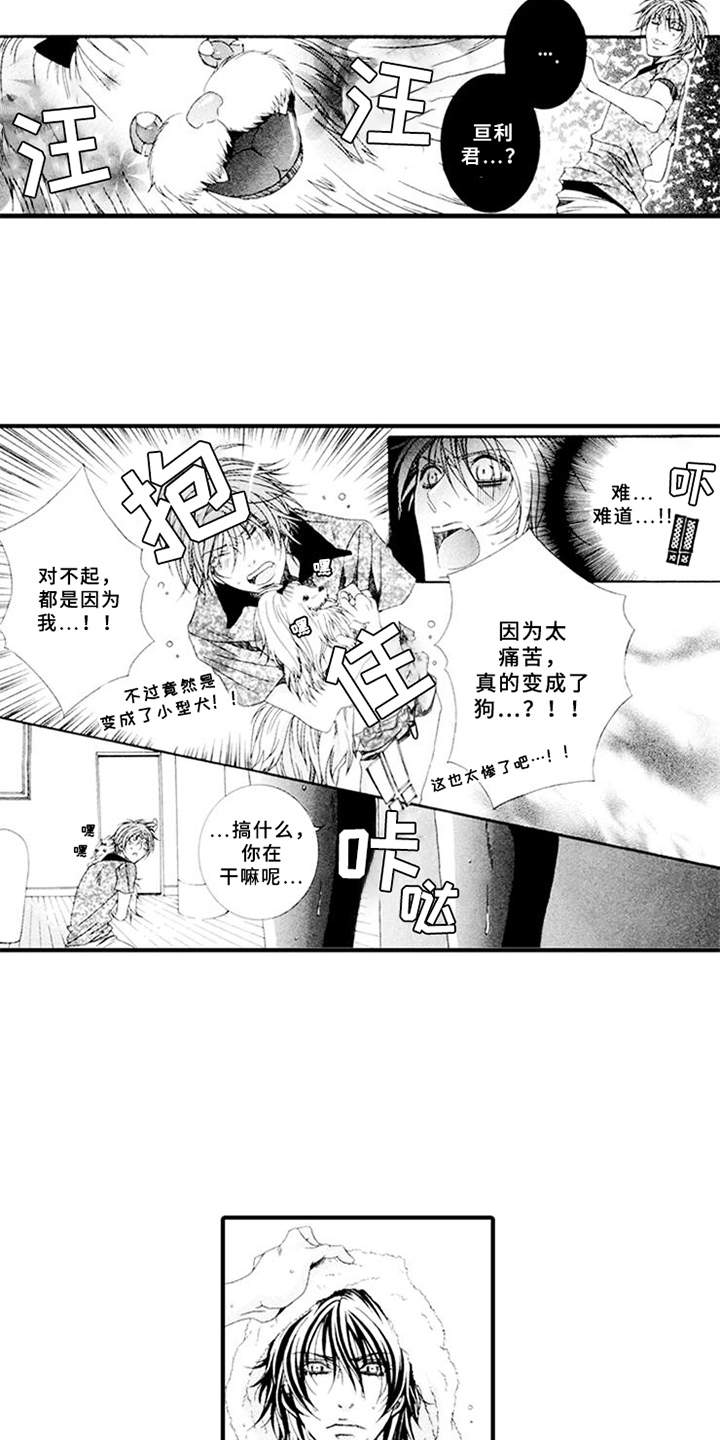 第3章：驯服的办法1