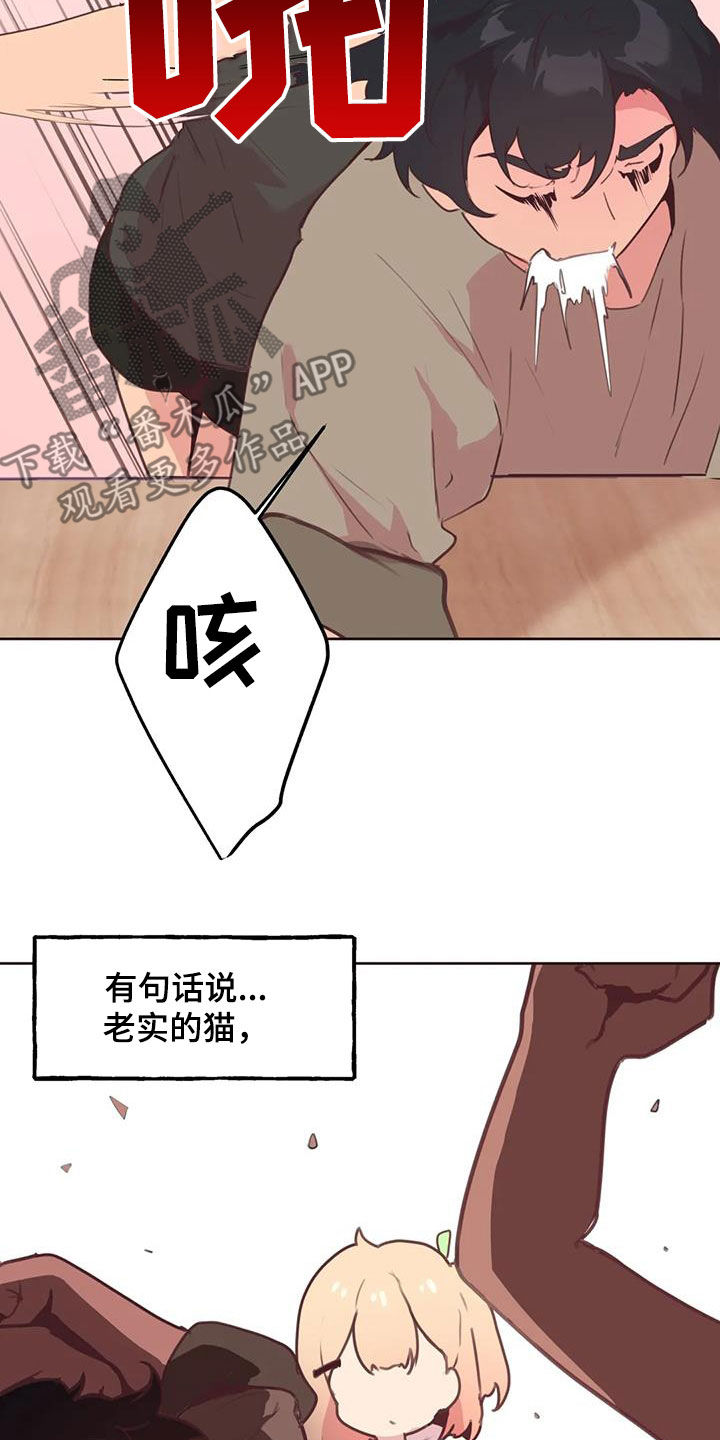 第28章：小猫上灶台2