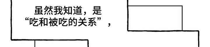 第14章：落下的东西1