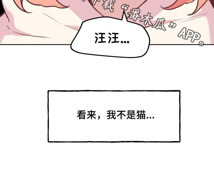 第28章：小猫上灶台4