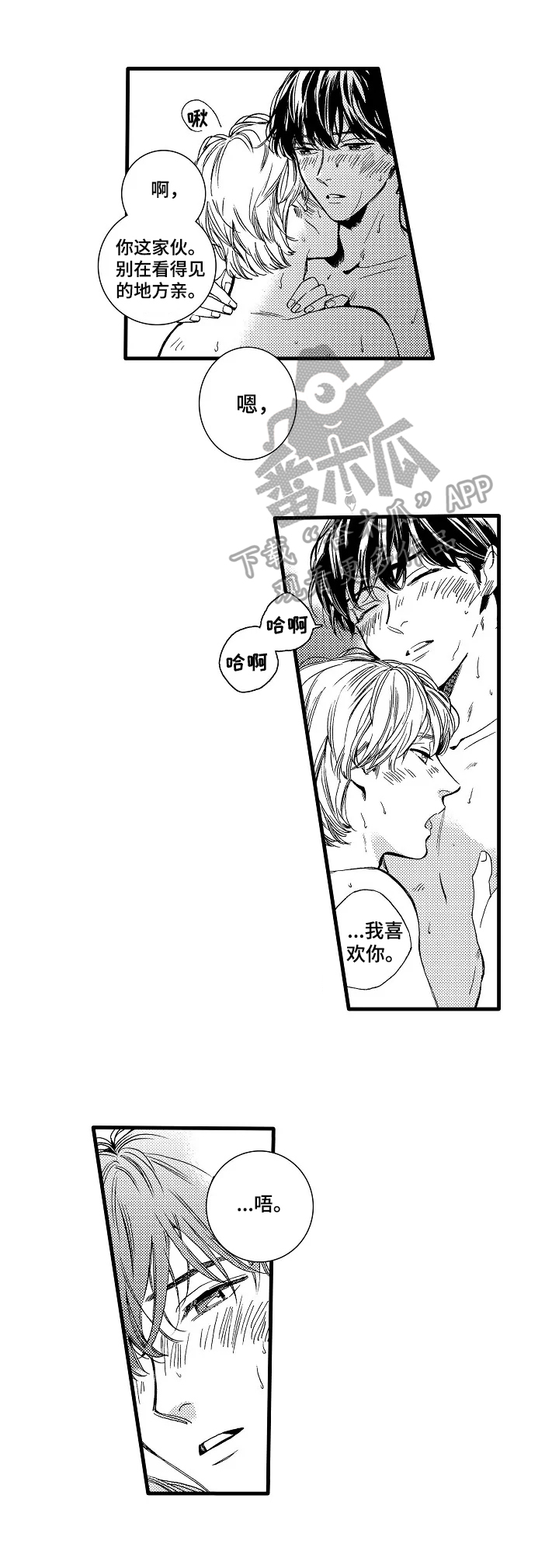 第31章：【番外】期待开演3