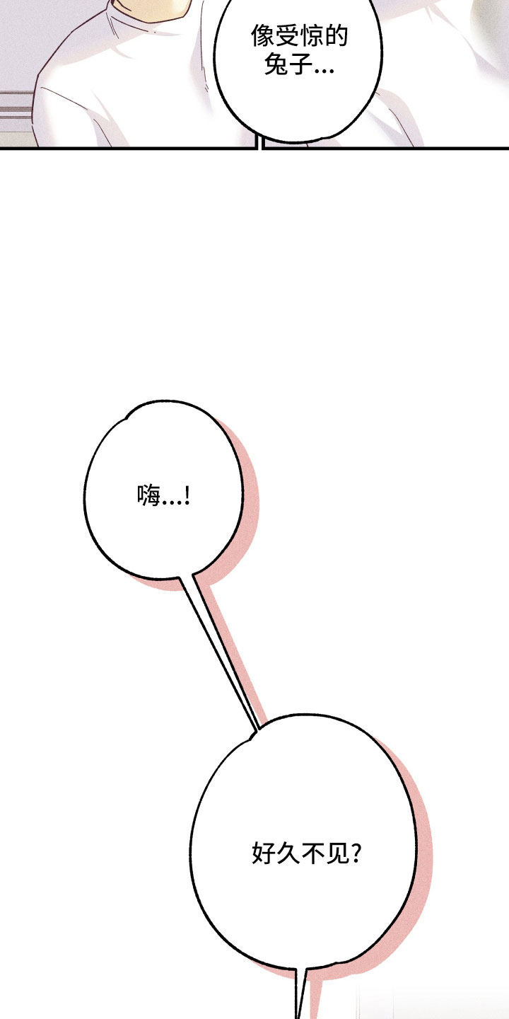 第33章：一见钟情2