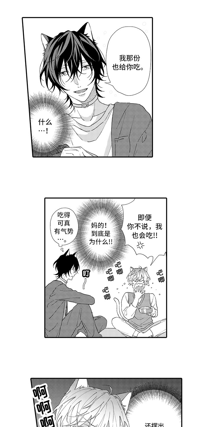 第1章：两只小猫4