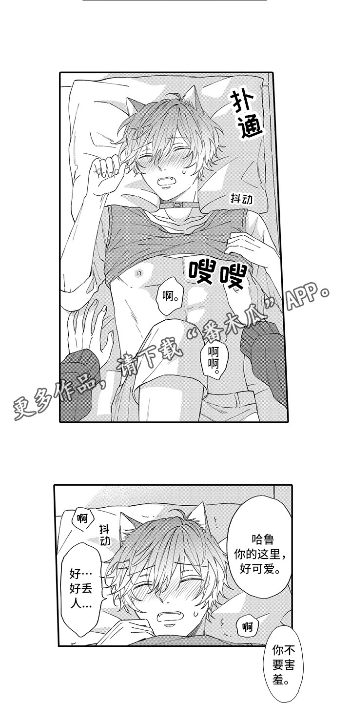 第11章：很开心2