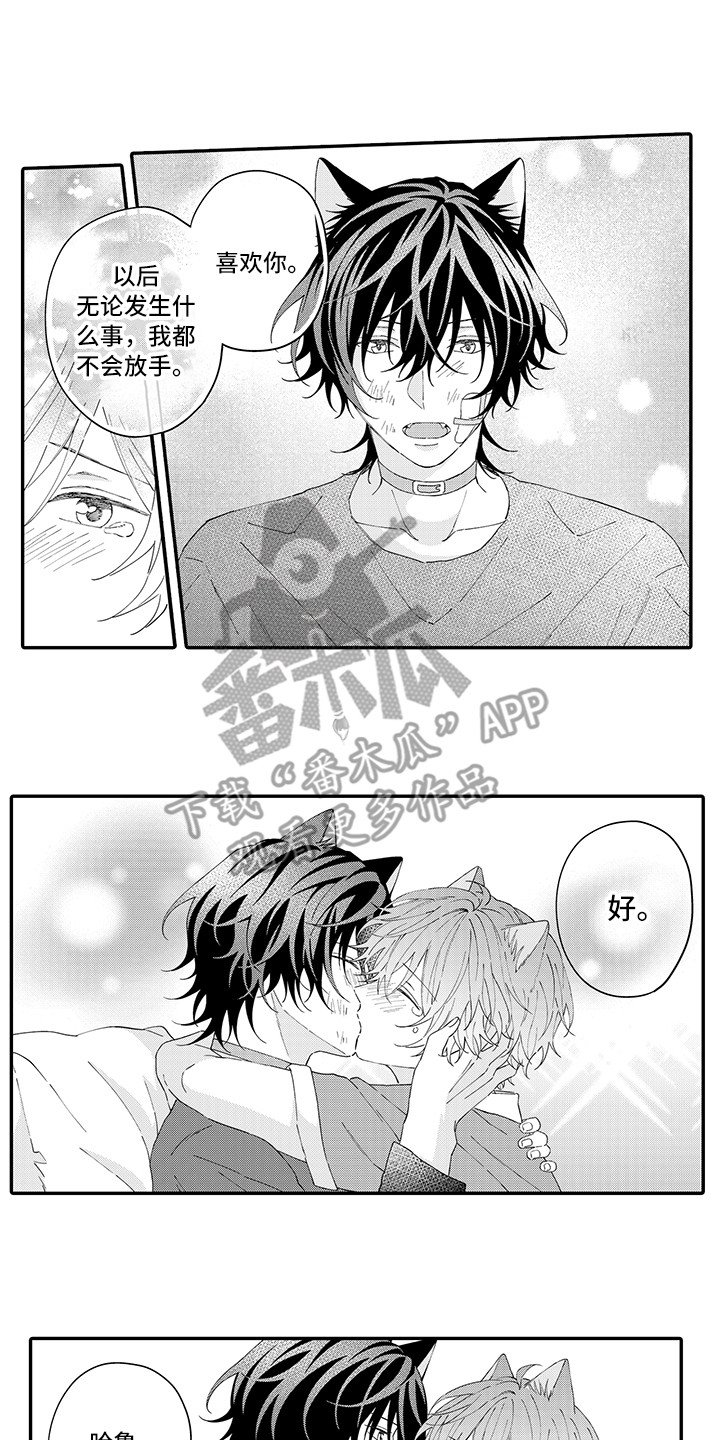 第21章：下决心0