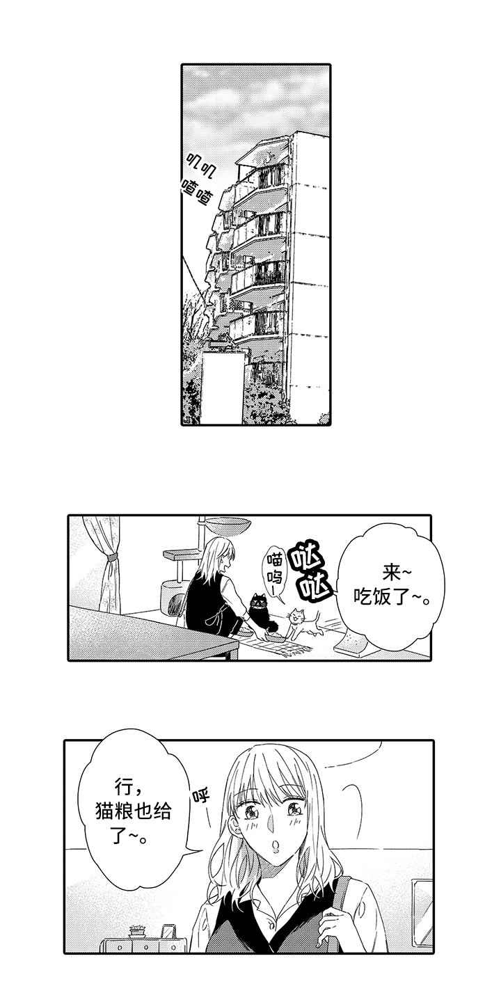 第1章：两只小猫0