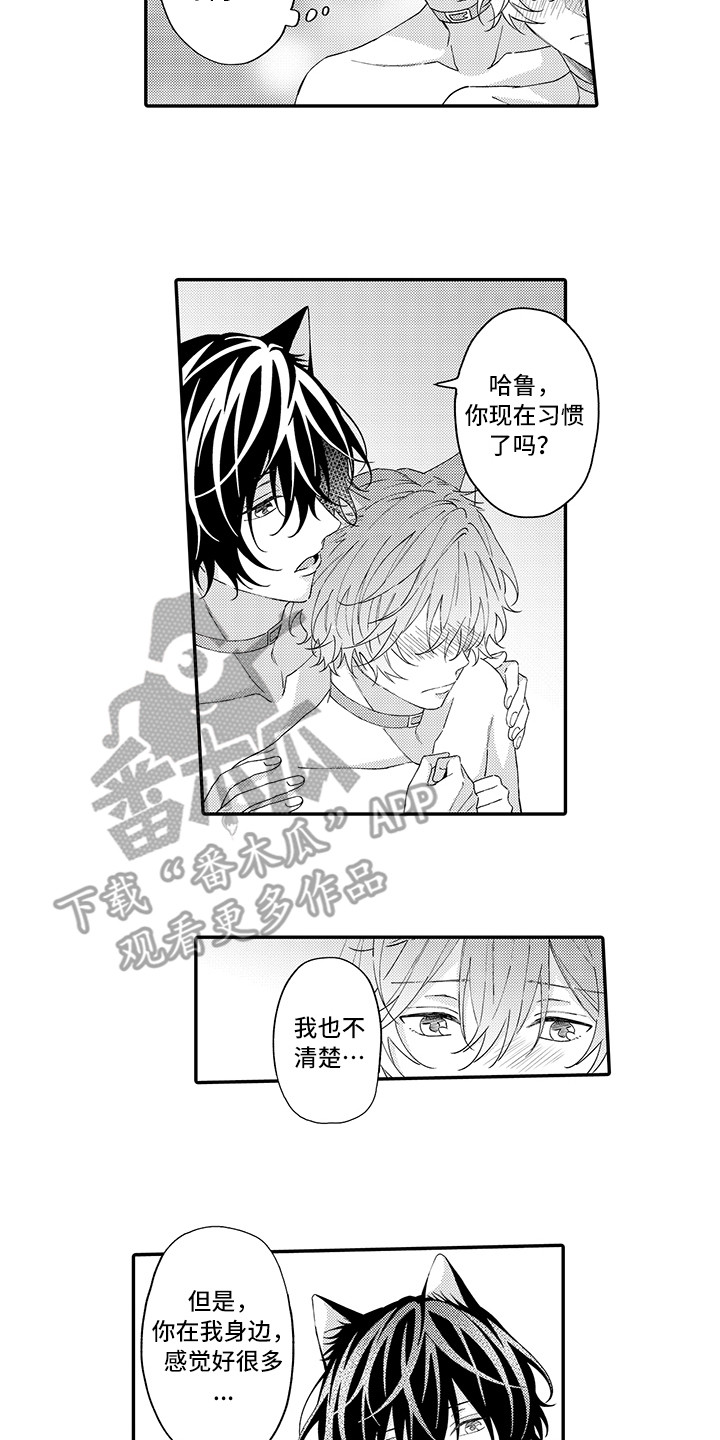 第13章：洗一洗4