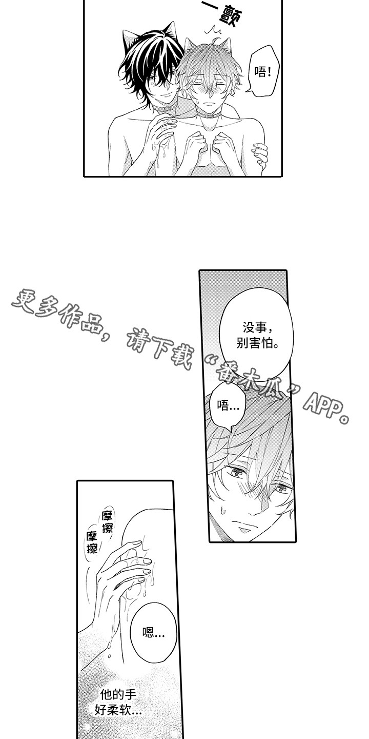 第13章：洗一洗2