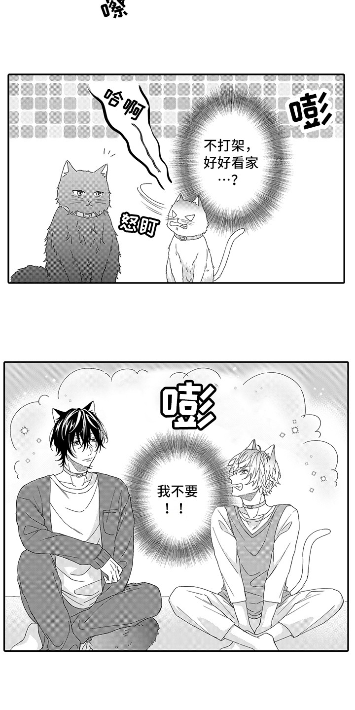 第1章：两只小猫2