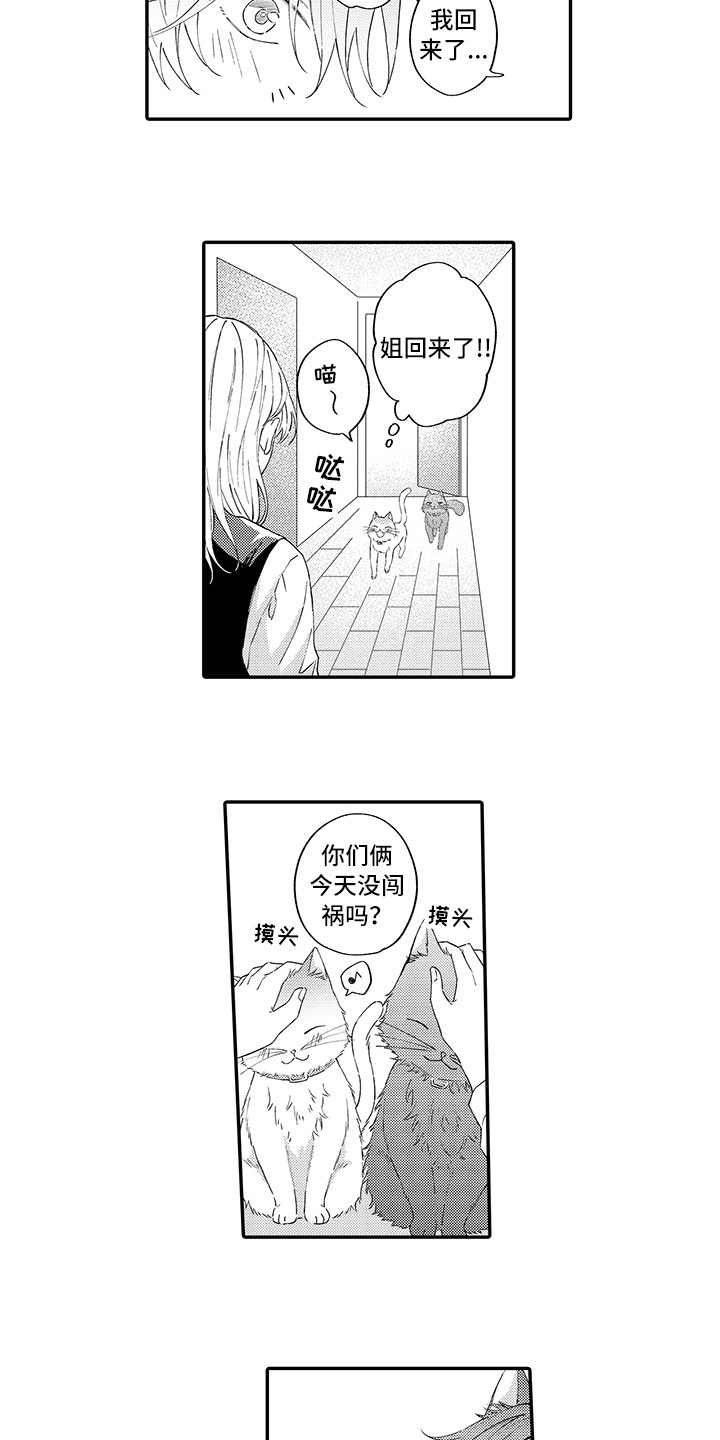 第15章：坏消息3