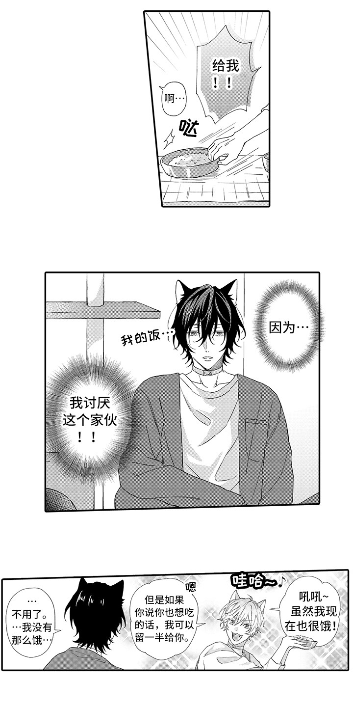 第1章：两只小猫3