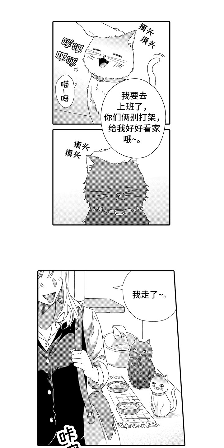第1章：两只小猫1