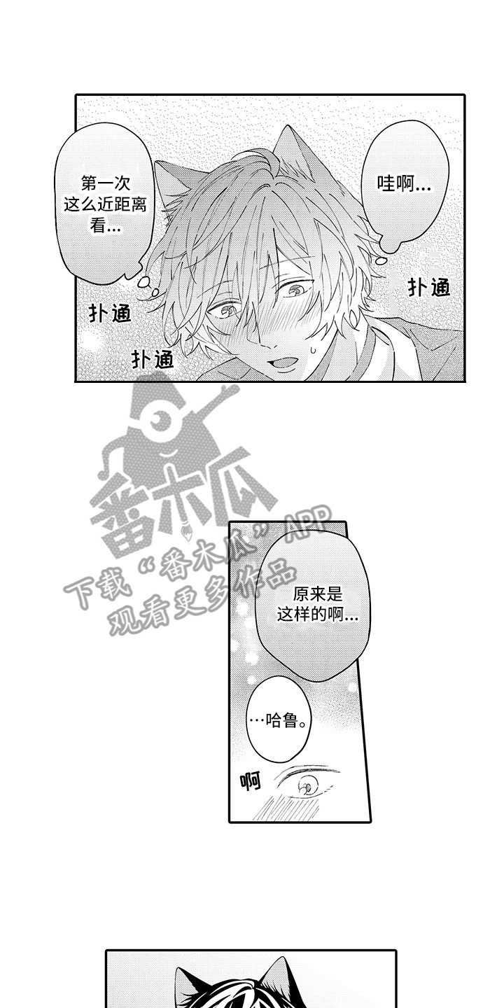 第21章：下决心4