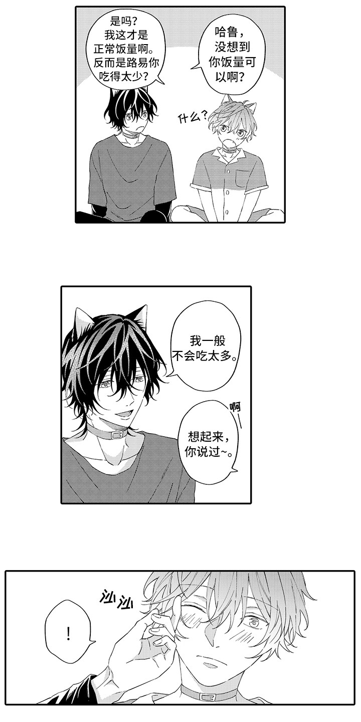 第14章：睡着了3