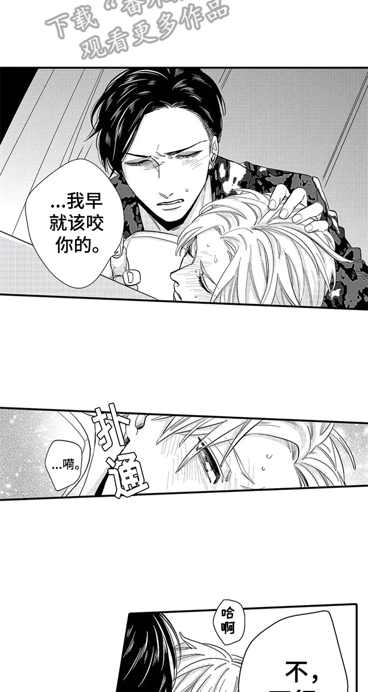 第16章：胡思乱想3