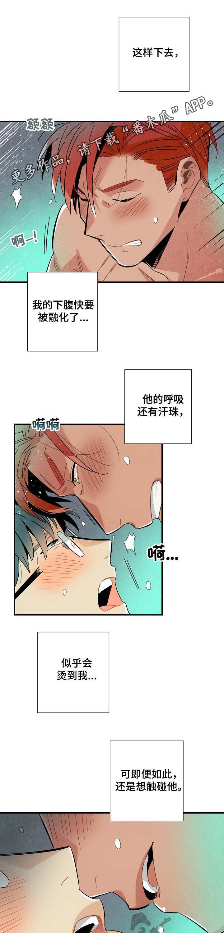 第66章：结果0