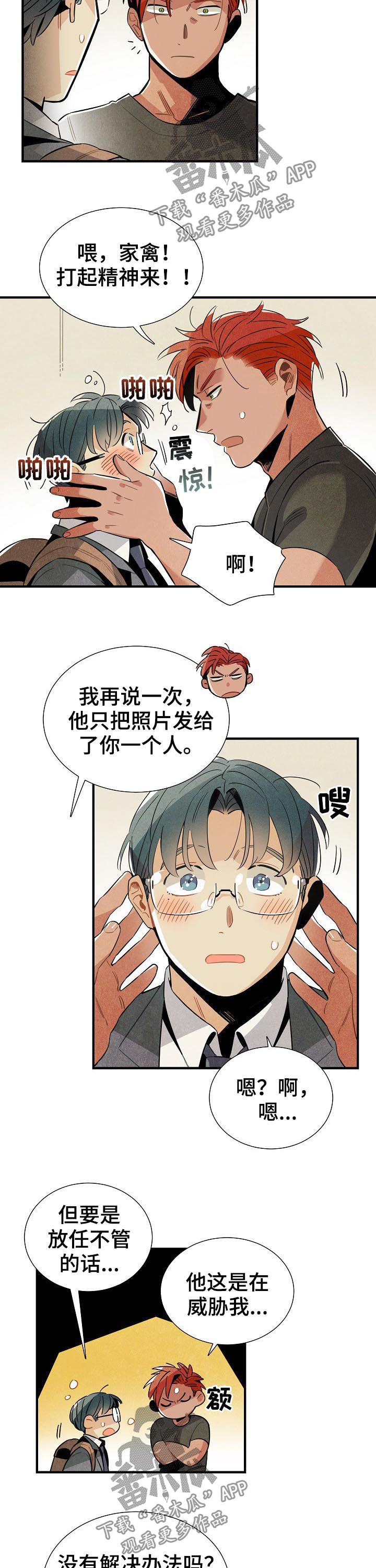第83章：我不是家禽2