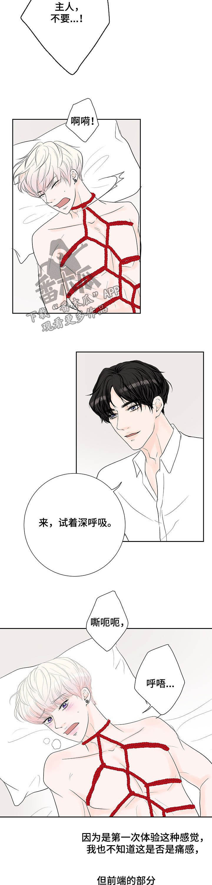 第66章：【番外】我好困1