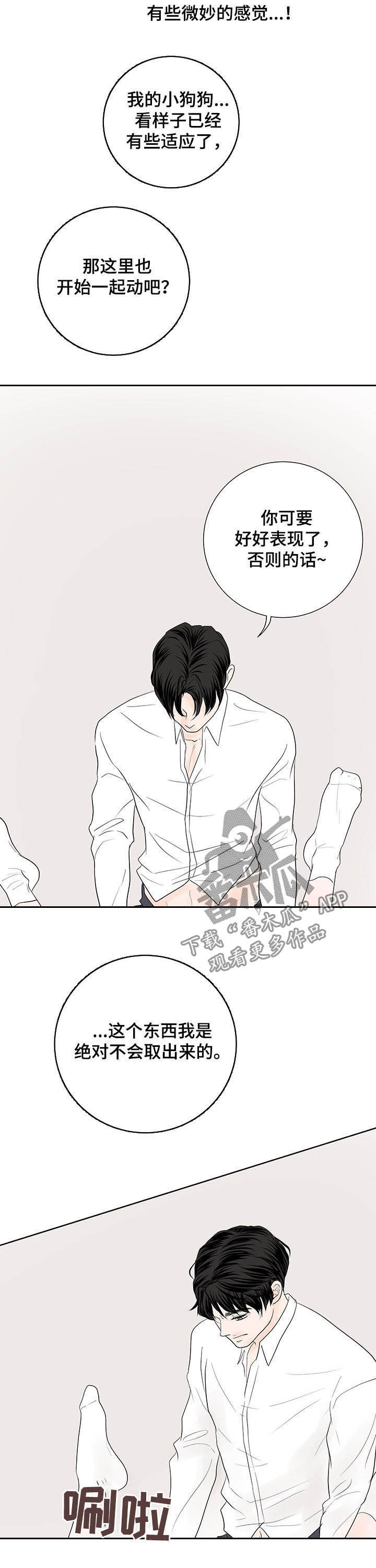 第66章：【番外】我好困2