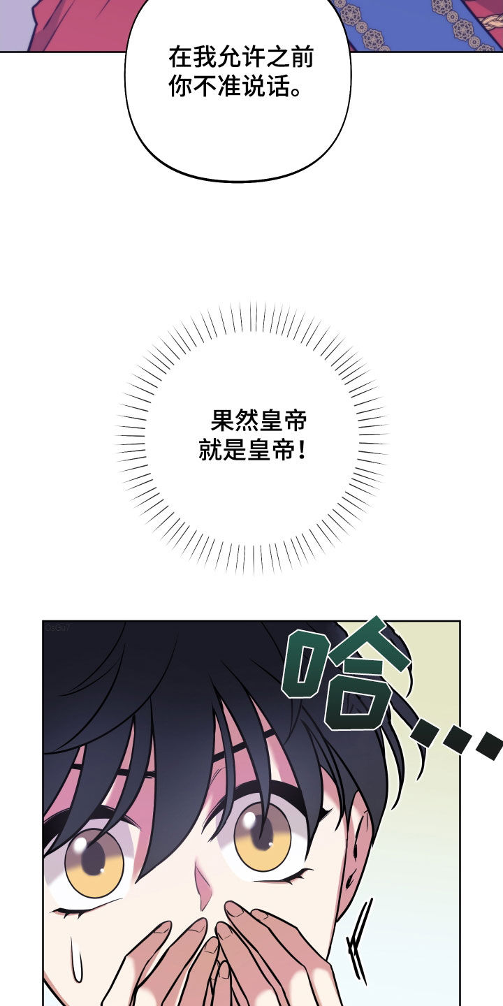 第18章：反转1