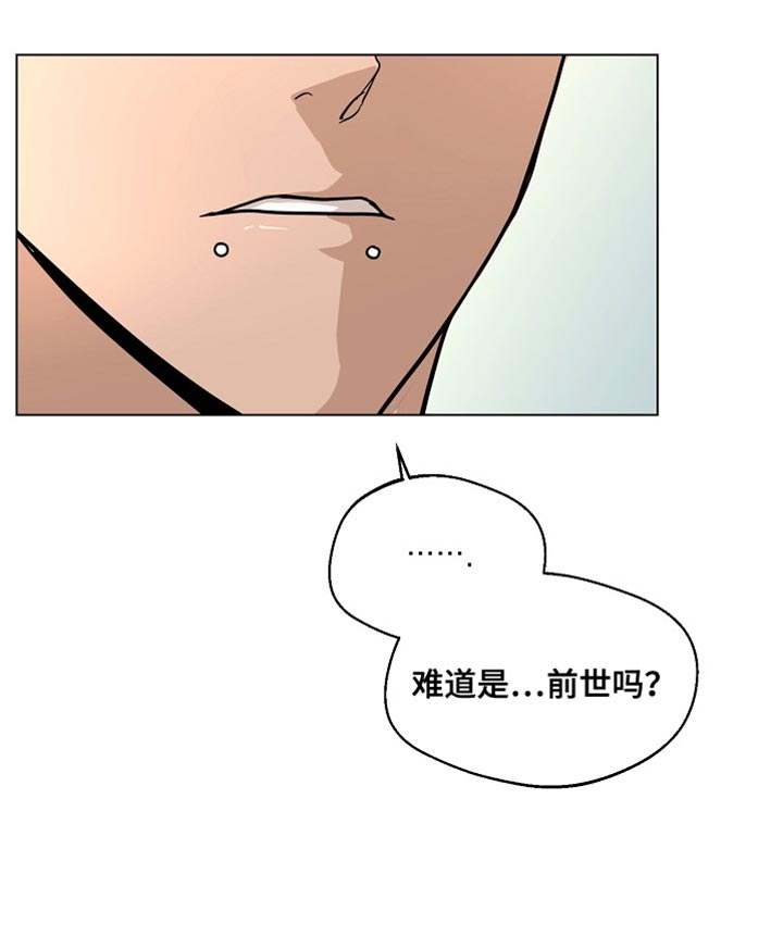 第19章：难道是前世2