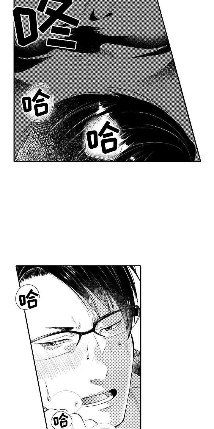 第20章：真心话2