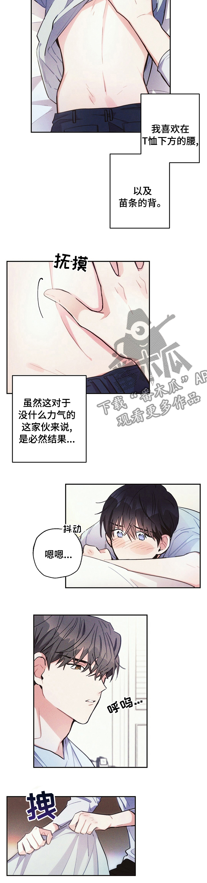 第65章：理想型3