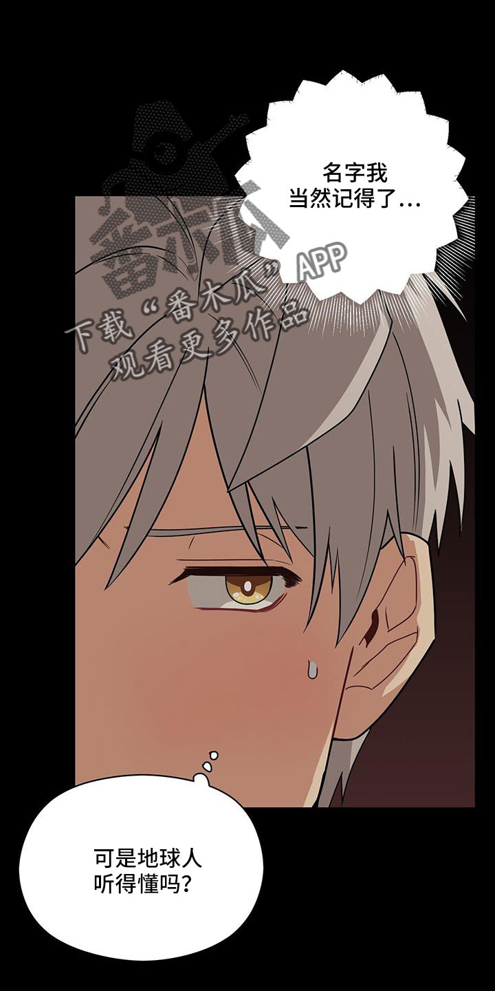 第129章：付出伤害我的代价2