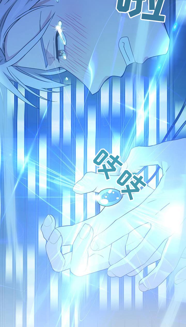 第117章：第二次机会1