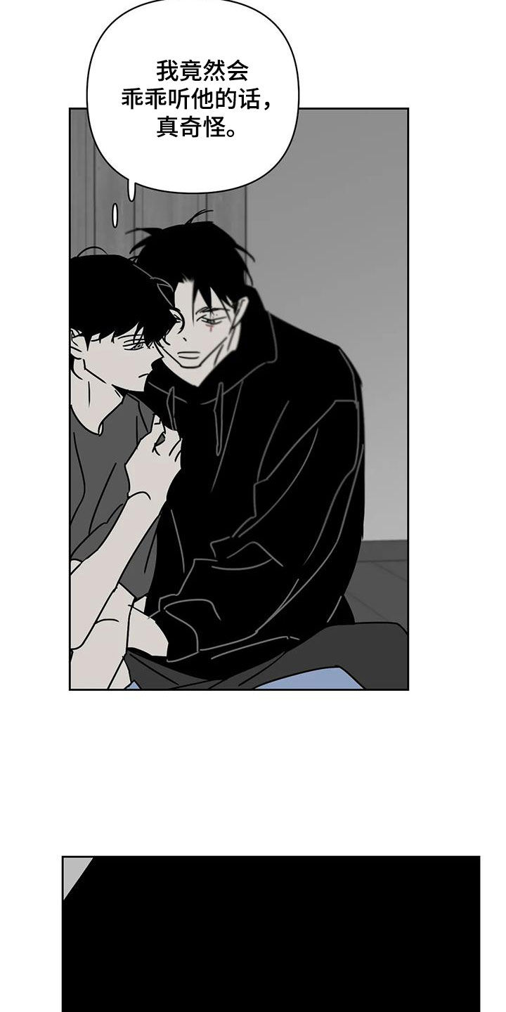 第37章：很多问题1