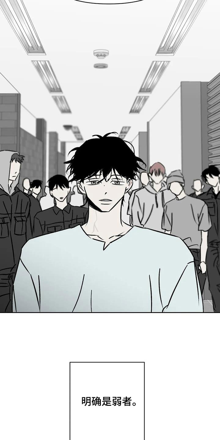 第19章：孤身一人4