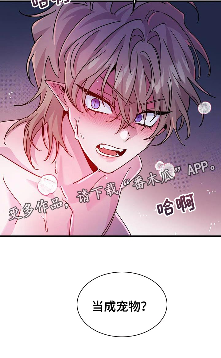 第53章：【第二季】宠物2