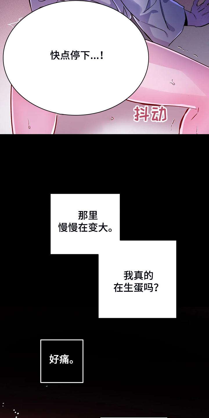 第30章：内加尔大人2