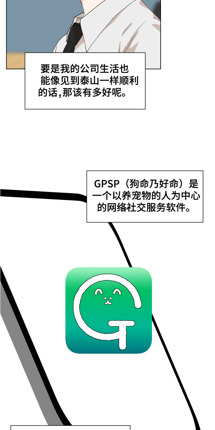 第2章：宠物公司4